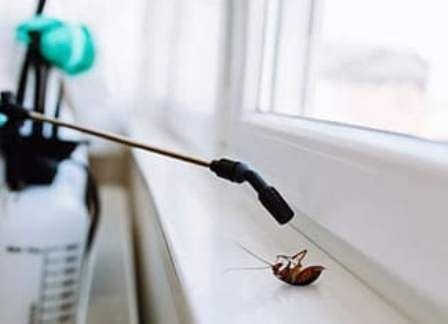 Pest Control